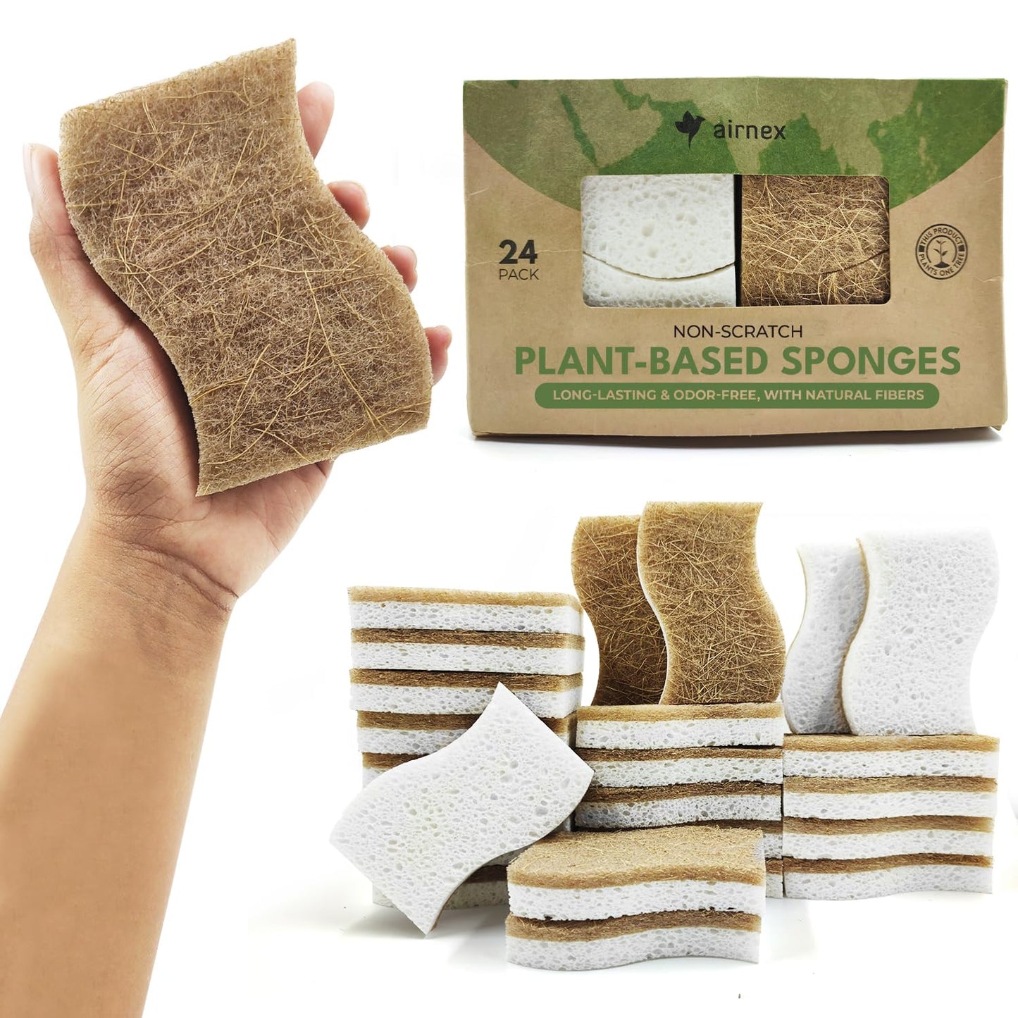 Biodegradable Natural Kitchen Sponge - Compostable Cellulose and Coconut Walnut Scrubber Sponge (12 Pack)